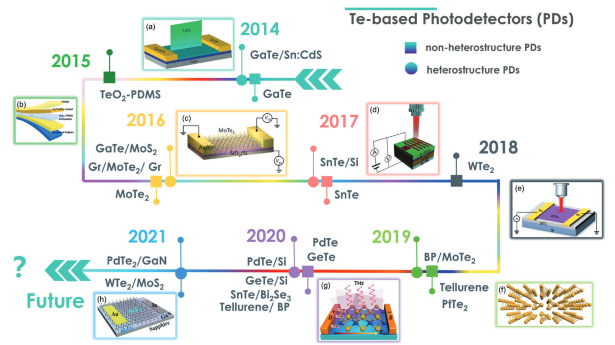 Small 2022, 18, 2200016