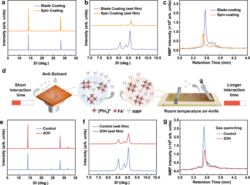 Nat. Commun. 2026, 17, 1737